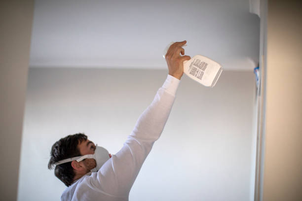 Trusted Violet, LA Mold Removal Experts