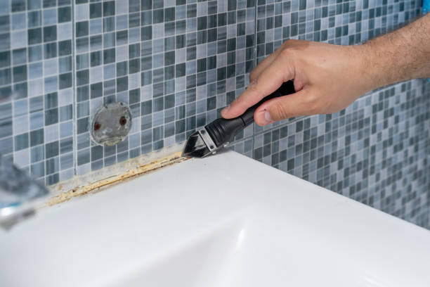 Best Emergency Mold Removal  in Violet, LA