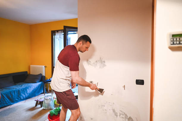 Best Water Damage Restoration  in Violet, LA